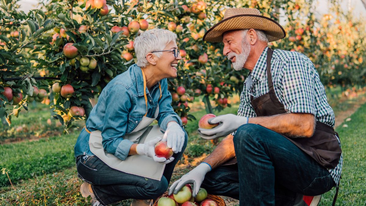 What's New With QLACs in 2023